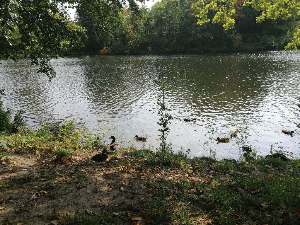 IMG_20190822_143623.jpg